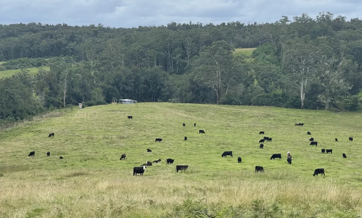 Entire campsite (20 acres)