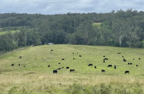 Entire campsite (20 acres)